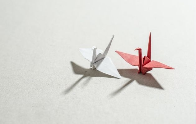 Origami diagrammes