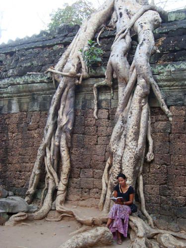 STUNG TRENG
BANLUNG
KRATIE
ALONG VENG . temple du Preah Vihar
SIEM REAP . temples ANGKOR
...
