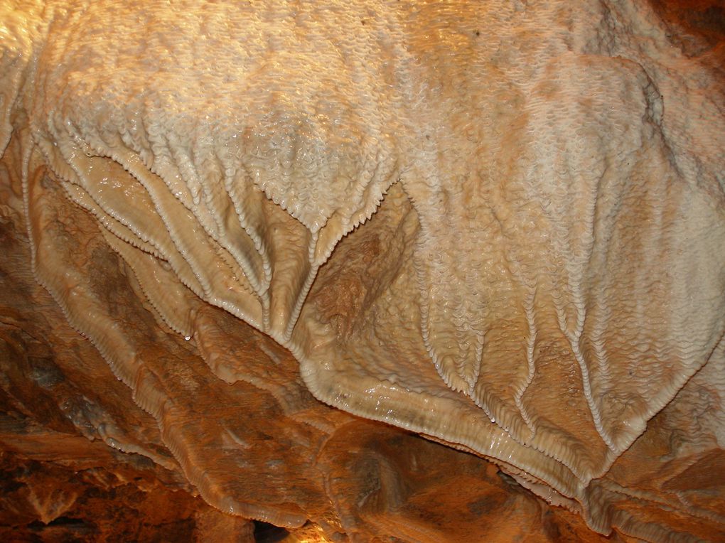 Visite d'une grotte avec des restes d'habitat humain, du paléolithique moyen (vers -400 000) jusqu'au Moyen age...
Avec aussi une occupation animale importante (ours et lion des cavernes)...
Localisation : Saône-et-Loire