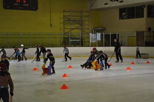 Voici quelques photos de nos futurs champions !