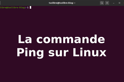 #Les commandes Terminal : Utiliser la commande Ping sur Linux 