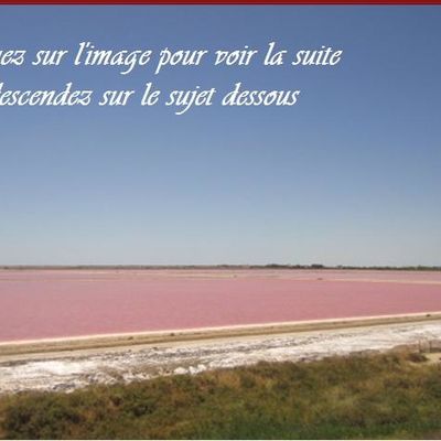 marais salants de camargue tous roses !!!!