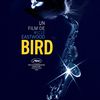 Tao le chat fait son cinéma : Bird