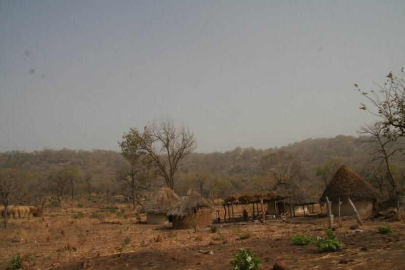 Album - PAYS-BASSARI-Senegal