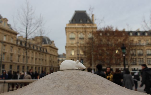 #Paristesouris Place de la République