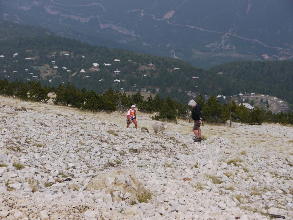 Album - V-Race-3-Mt-Ventoux