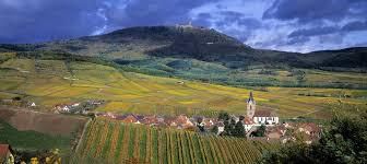 #Alsace Grand Cru Wiebelsberg  Alsace Region France