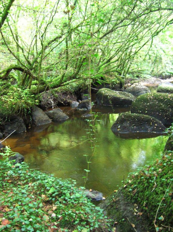 Gorges de Toul-Goulic a Trémargat (22)