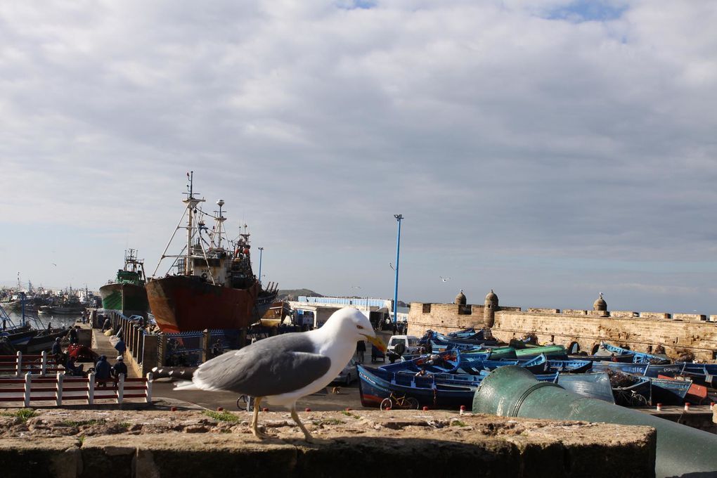 Album - Essaouira