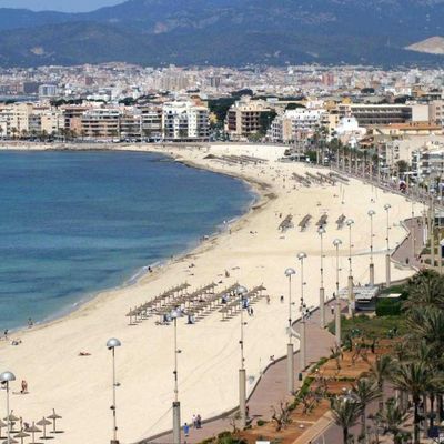 Playa de Palma deviendra une oasis verte : des dunes, des promenades et de nouveaux couloirs paysagers seront plantés