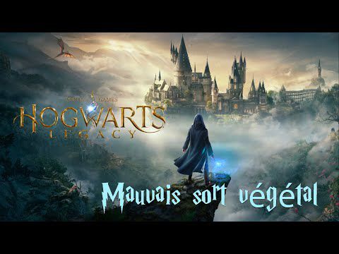 Hogwarts Legacy : L'Héritage de Poudlard - Mauvais sort végétal