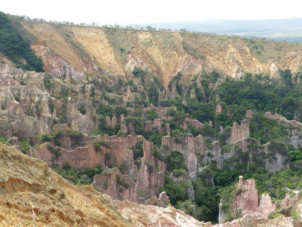 Réserve de Léconi, Canyon Rose et Départ!