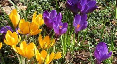 Ein weiterer sonniger Frühlingstag im März