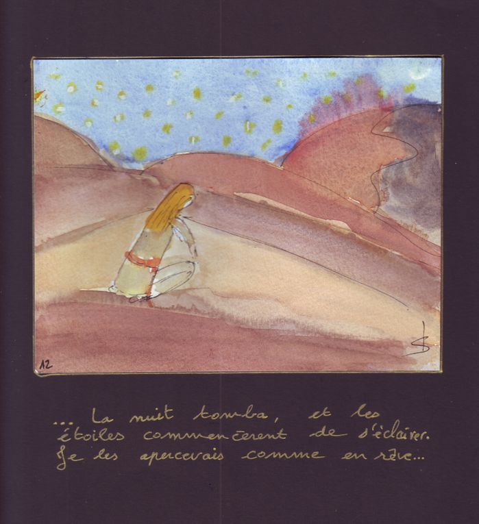 Série de dessins réalisés dans le désert et repris pour l'exposition "Dessine-moi le désert"