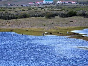 RN3, Argentine en camping-car