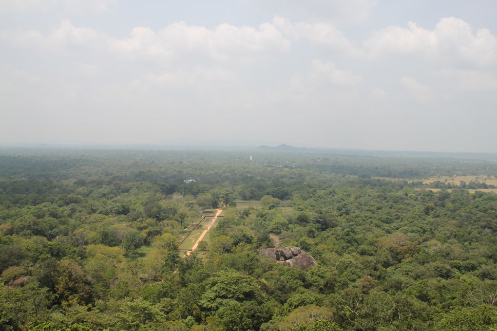 LION ROCK 

il suffit de monter qq marches et en un clin d'oeil vous voila sur le toit du monde!