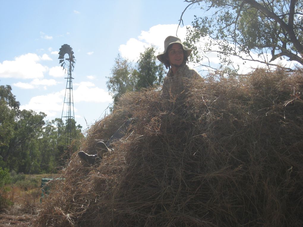 Album - WWOOF-outback